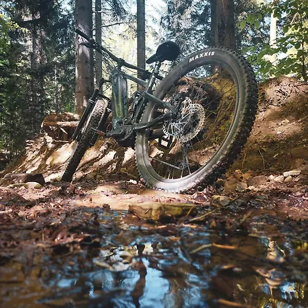 Noce I Dnie Radziechowy