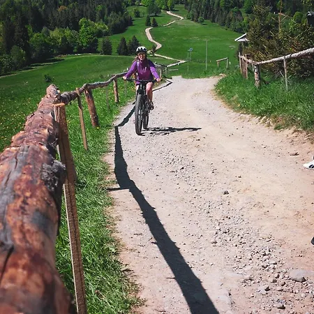 Bed & Breakfast Noce I Dnie Radziechowy