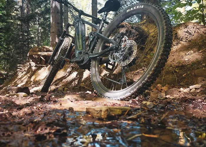 Noce I Dnie Radziechowy