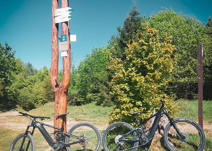 Noce I Dnie לינה וארוחת בוקר Radziechowy