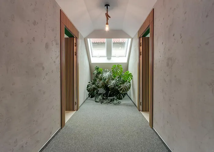 לינה וארוחת בוקר Noce I Dnie Radziechowy